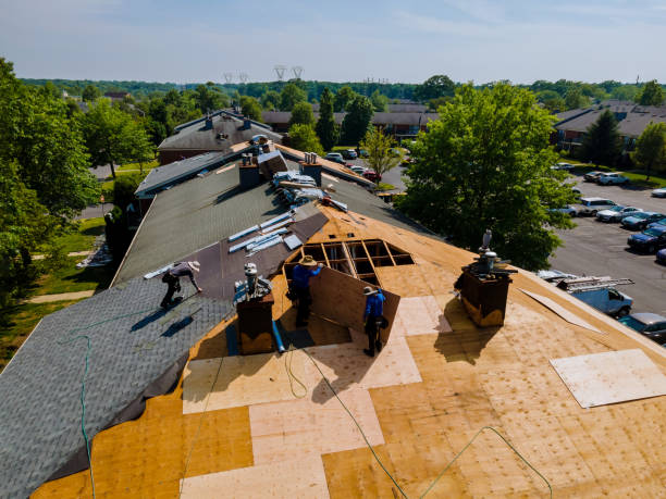 Trusted Roof Replacement service in Cedar Point, NC - Brentwood Metal Roofing